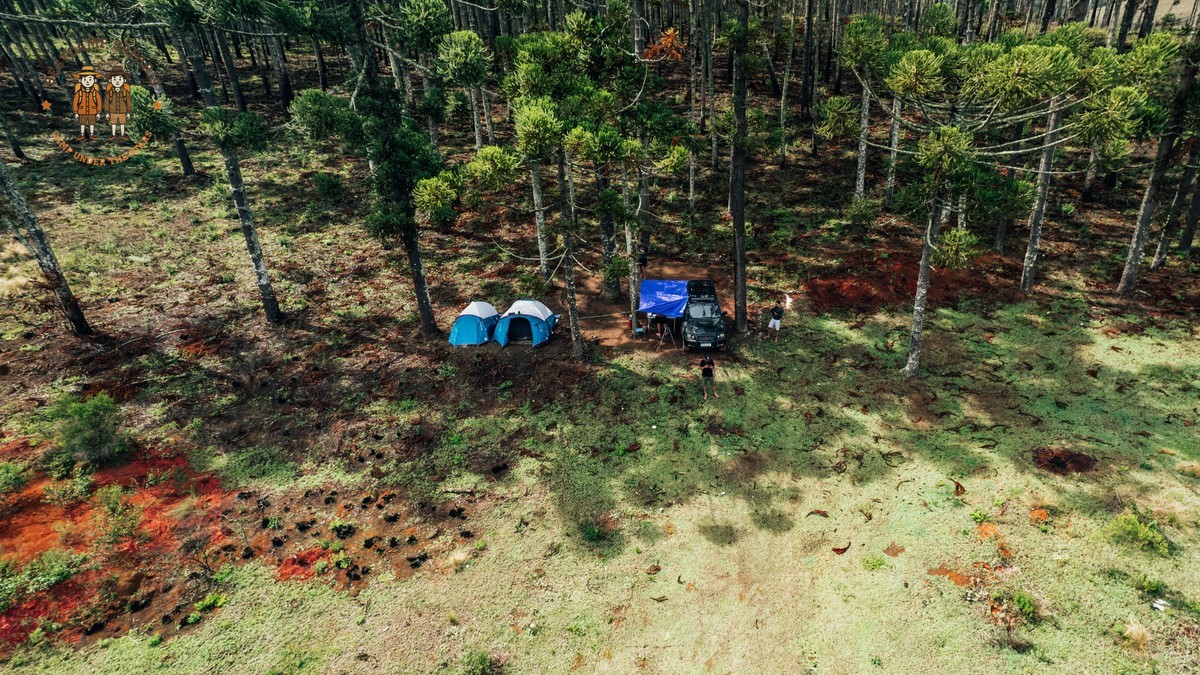 Who Changes Mobile Safari Camps: The Crew Explained -- Photo by Matheus Bertelli on Pexels
