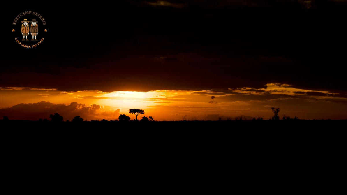 Why Are Kenya Safaris So Expensive? Real Cost Breakdown - photo 1