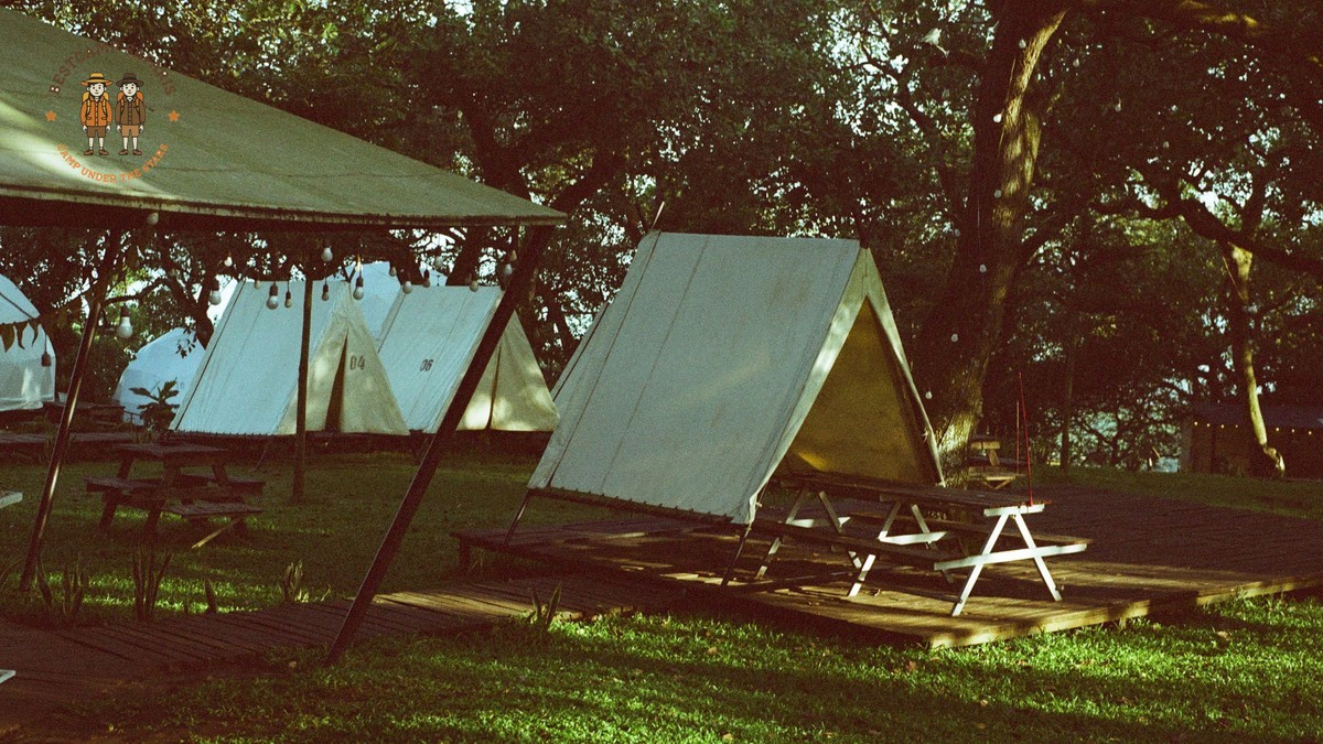 How Are Safari Tents Cleaned: 7 Camp Housekeeping Steps -- Photo by Phong Tran on Pexels