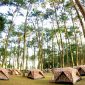 Kenya Mobile Camp Day Schedule: 6 Key Times -- Photo by icon0 com on Pexels