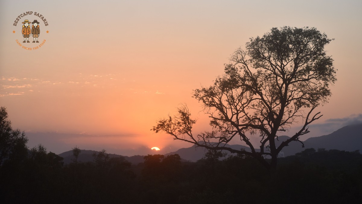 Kenya Safari Cantonese Speakers: Route, Cost & Booking Tips - photo 1