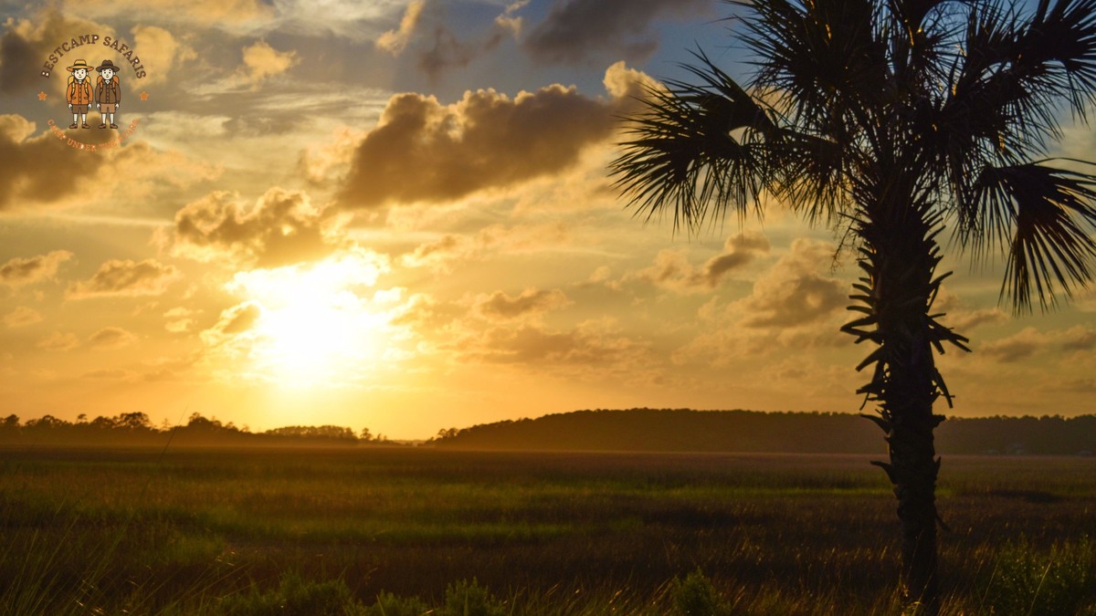 Kenya Safari Hokkien Speaking Travelers: Full Cost Guide - photo 1