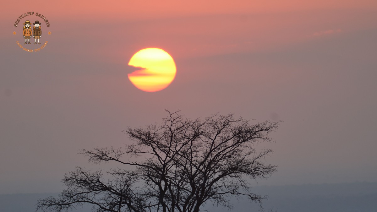 Kenya Safari for Japanese Speaking Travelers: Trip Costs - photo 1