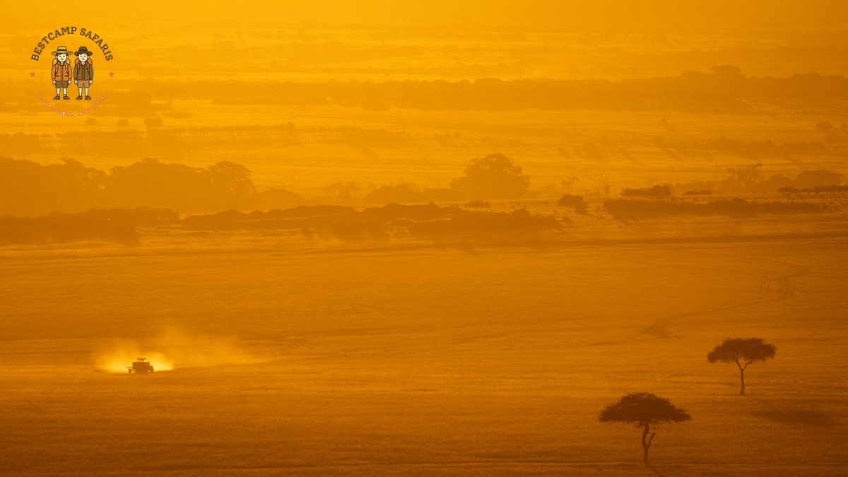 Kenya Safari for Korean Speaking Travelers: What It Costs - photo 1