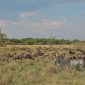 Kenya safari migration crowds avoid: Quieter Mara Months -- Photo by Twilight Kenya on Pexels