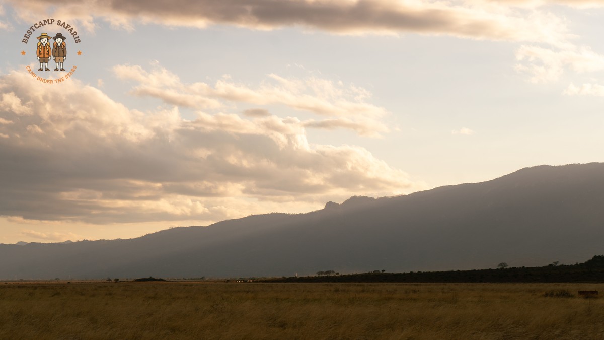 Kenya safari for Norwegian speakers: 7-Day NOK Costs - photo 1