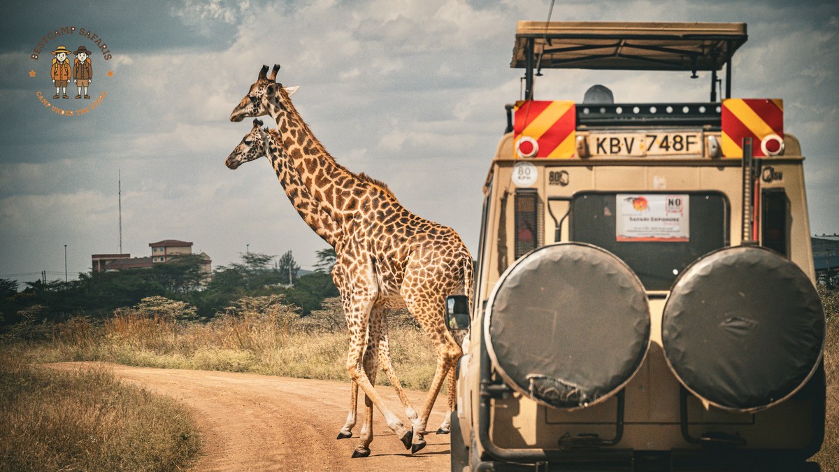 Understanding the Kenya Safari Single Room Supplement - photo 2