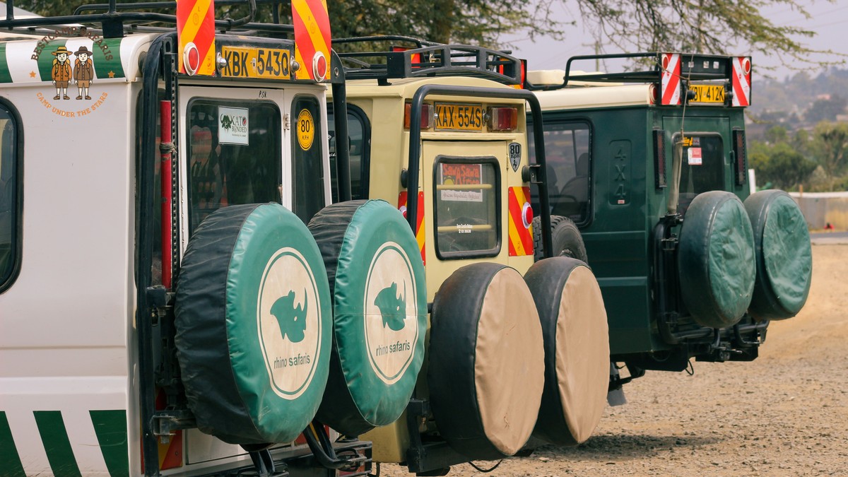 Kenya Safari for Swedish Speakers: What It Costs in SEK - photo 2