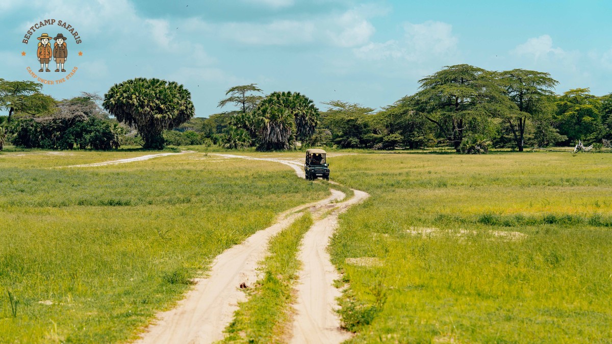 Kenya Safari Vaccination Checklist: 10 Health Steps - photo 2