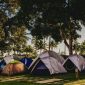 Laikipia Fly Camp Experience: Sleep Under the Stars -- Photo by Jonathan Borba on Pexels