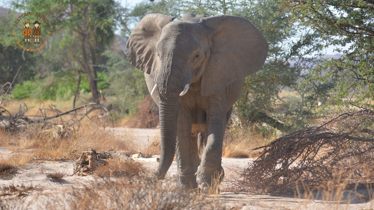 Laikipia mobile camping itinerary: 6-Day Walking Plan - photo 2