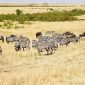 masai mara migration camp location hero 85x85
