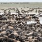masai mara migration camping guide hero 85x85