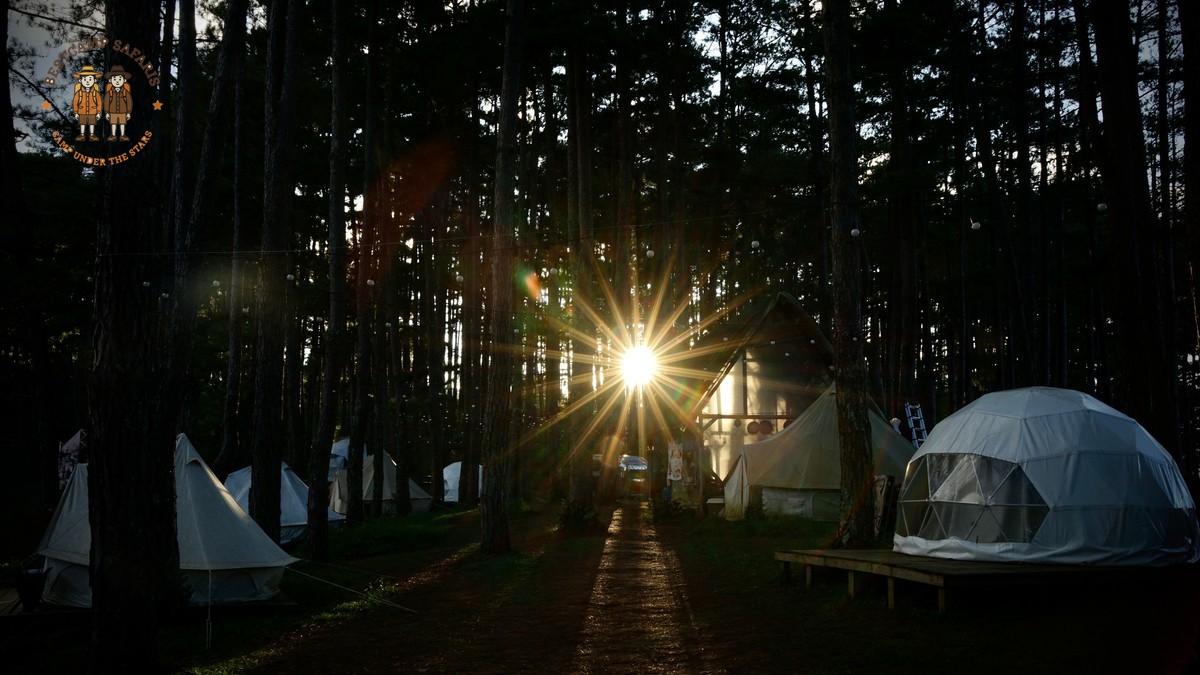Meru Camping Safari Price Guide: $52-$70 Park Fees -- Photo by Katie Tran on Pexels