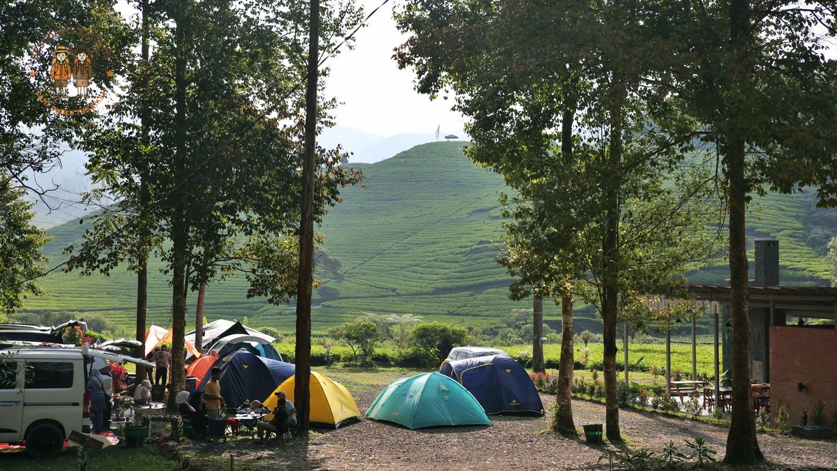 how do safari camps handle twins: 5 Room Options -- Photo by Heru Dharma on Pexels