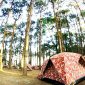 Samburu Mobile Camping Packing List: 25 Essentials -- Photo by icon0 com on Pexels