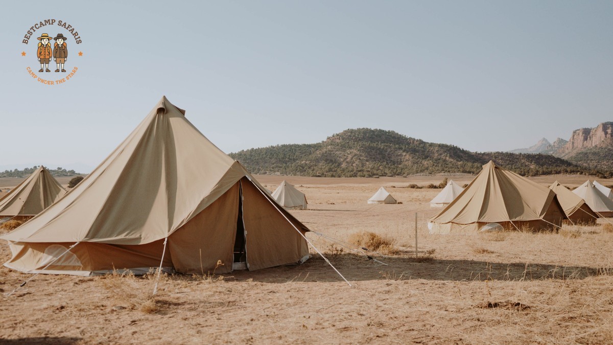 Samburu Versus Meru Safari Camping: A Practical Guide -- Photo by Dziana Hasanbekava on Pexels