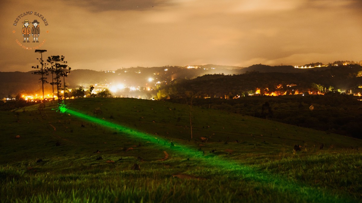 Who Watches Safari Camp Overnight: Meet the Askari -- Photo by Hebert Santos on Pexels